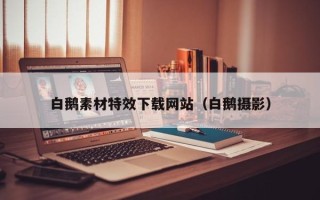 渑池白鹅素材特效下载网站（白鹅摄影）